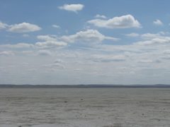 24 Bolivia or Reed Lake SK